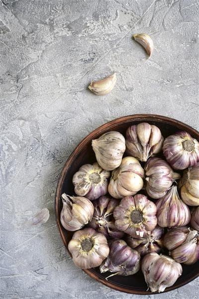 تصویر 5 از راهنمای خرید سیر کوهی خشک + قیمت عالی